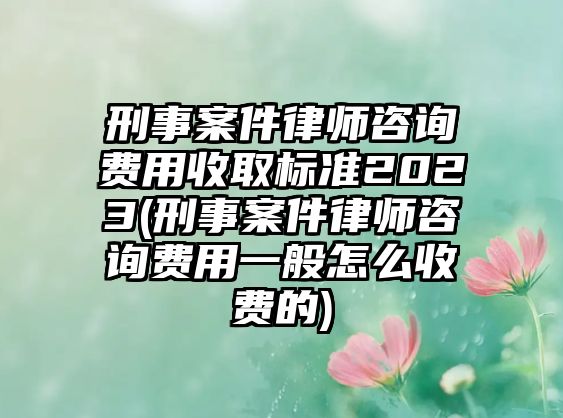 刑事案件律師咨詢費用收取標準2023(刑事案件律師咨詢費用一般怎么收費的)