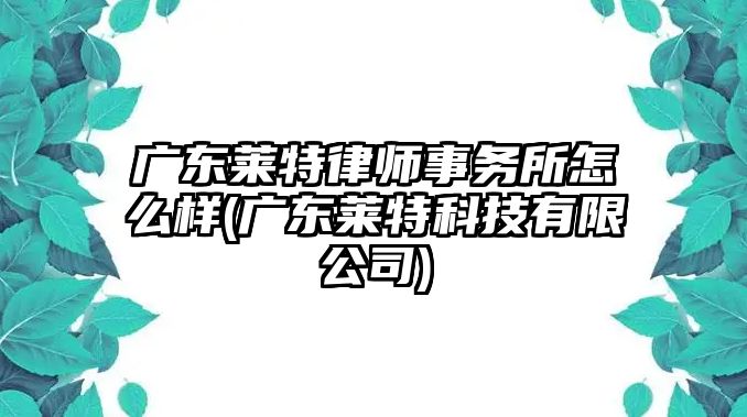 廣東萊特律師事務(wù)所怎么樣(廣東萊特科技有限公司)