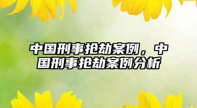 中國刑事搶劫案例，中國刑事搶劫案例分析