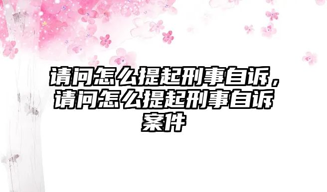 請問怎么提起刑事自訴，請問怎么提起刑事自訴案件