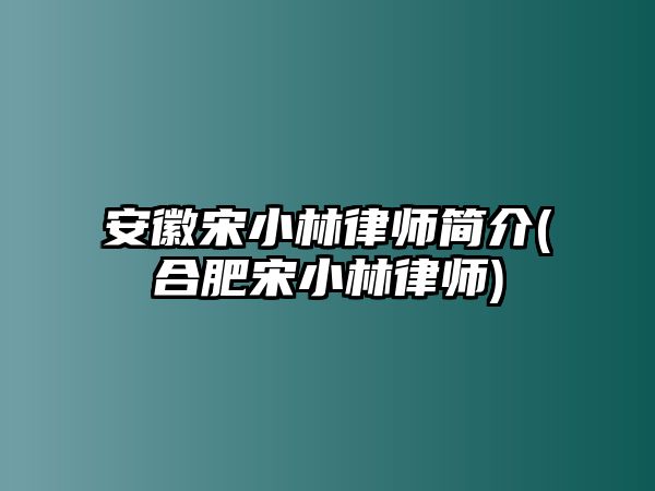 安徽宋小林律師簡介(合肥宋小林律師)