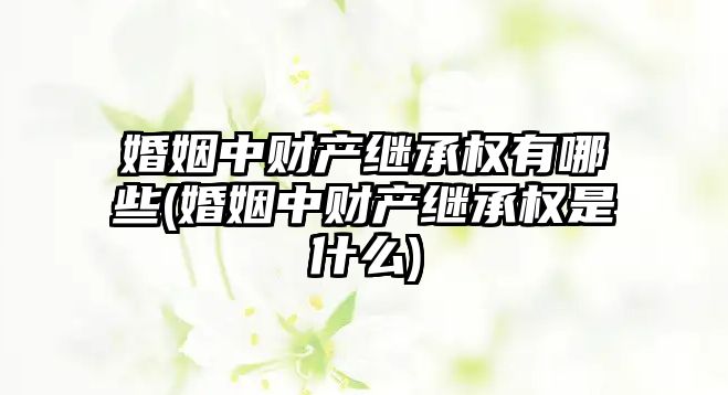 婚姻中財產繼承權有哪些(婚姻中財產繼承權是什么)