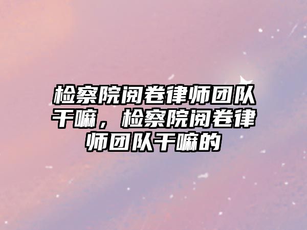 檢察院閱卷律師團隊干嘛，檢察院閱卷律師團隊干嘛的