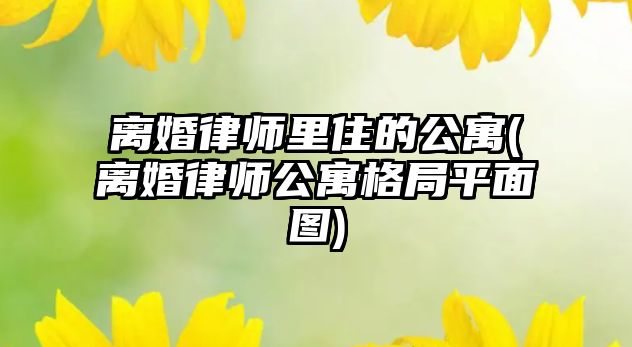 離婚律師里住的公寓(離婚律師公寓格局平面圖)