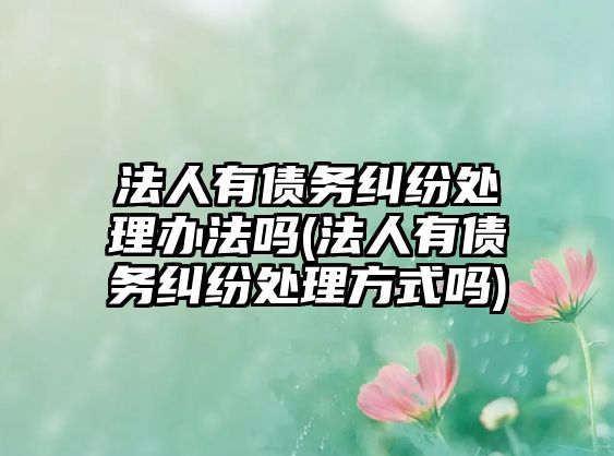 法人有債務(wù)糾紛處理辦法嗎(法人有債務(wù)糾紛處理方式嗎)