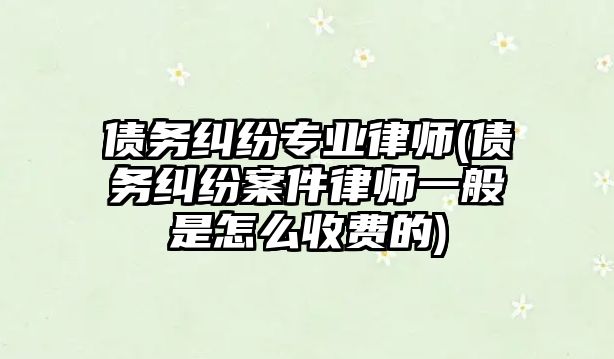 債務糾紛專業(yè)律師(債務糾紛案件律師一般是怎么收費的)