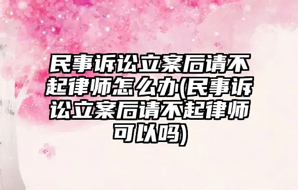 民事訴訟立案后請不起律師怎么辦(民事訴訟立案后請不起律師可以嗎)