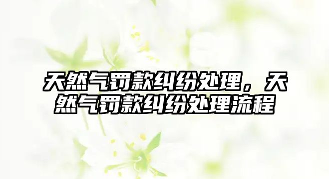 天然氣罰款糾紛處理，天然氣罰款糾紛處理流程