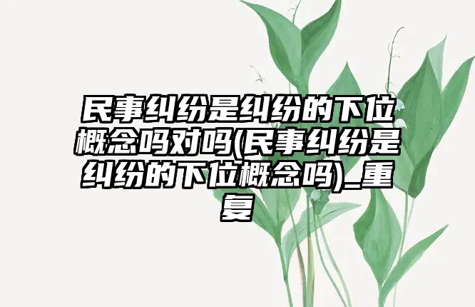 民事糾紛是糾紛的下位概念嗎對嗎(民事糾紛是糾紛的下位概念嗎)_重復