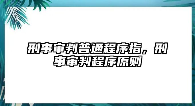 刑事審判普通程序指，刑事審判程序原則