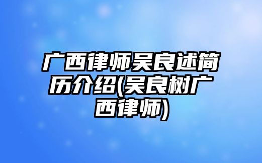 廣西律師吳良述簡(jiǎn)歷介紹(吳良樹(shù)廣西律師)