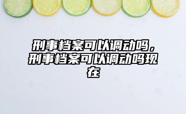 刑事檔案可以調動嗎，刑事檔案可以調動嗎現在