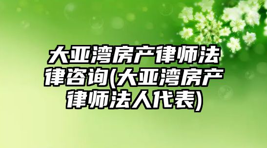 大亞灣房產律師法律咨詢(大亞灣房產律師法人代表)