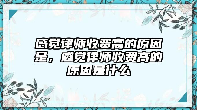 感覺律師收費高的原因是，感覺律師收費高的原因是什么