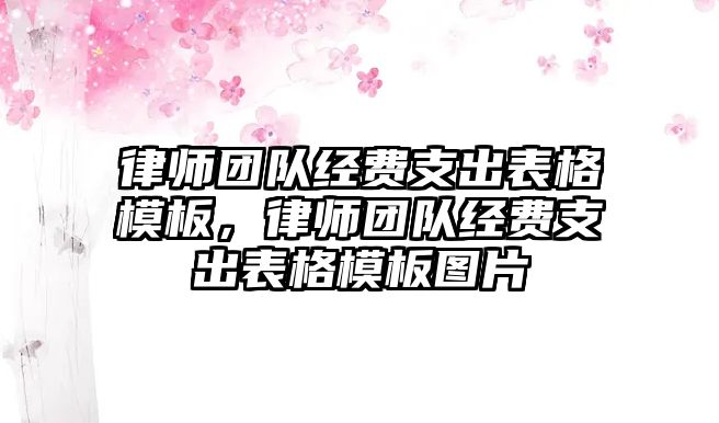 律師團隊經費支出表格模板，律師團隊經費支出表格模板圖片