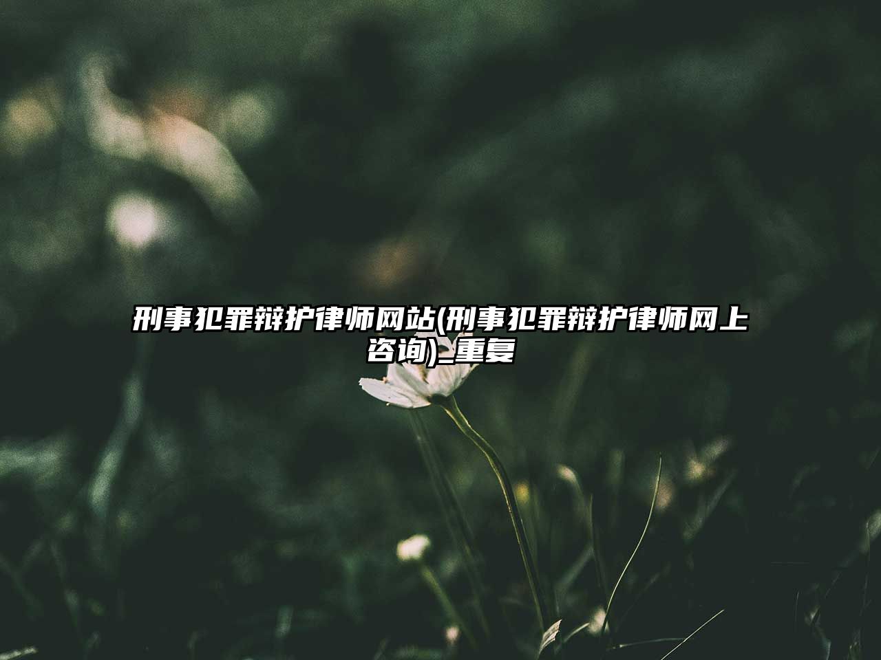 刑事犯罪辯護(hù)律師網(wǎng)站(刑事犯罪辯護(hù)律師網(wǎng)上咨詢(xún))_重復(fù)