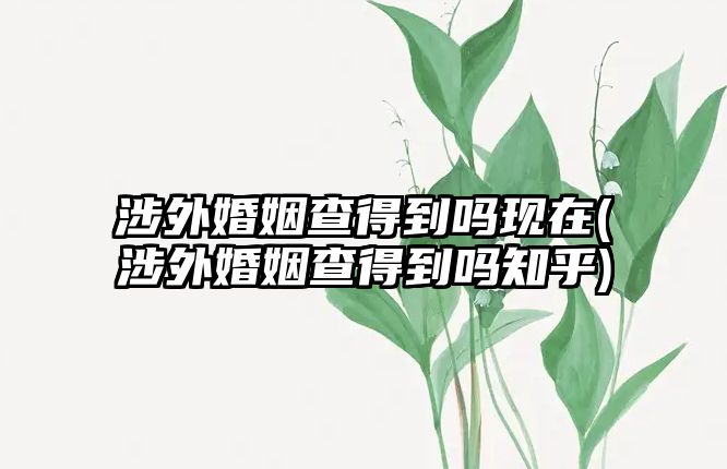 涉外婚姻查得到嗎現在(涉外婚姻查得到嗎知乎)