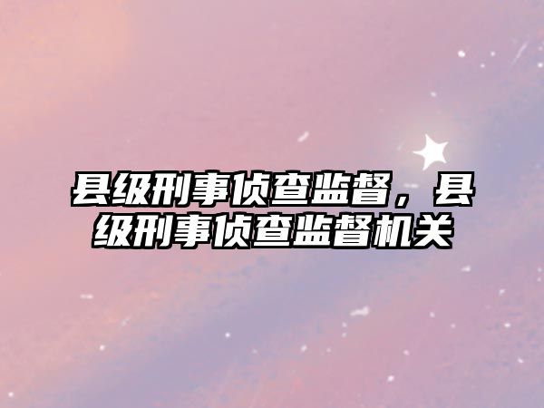 縣級刑事偵查監督，縣級刑事偵查監督機關