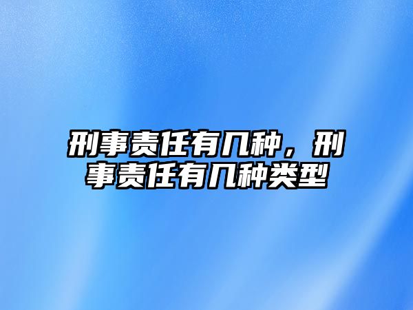 刑事責任有幾種，刑事責任有幾種類型