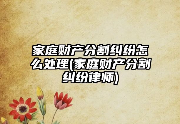 家庭財產分割糾紛怎么處理(家庭財產分割糾紛律師)