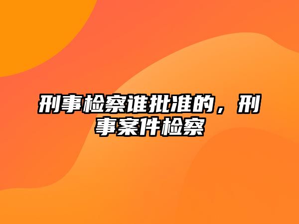 刑事檢察誰批準的，刑事案件檢察