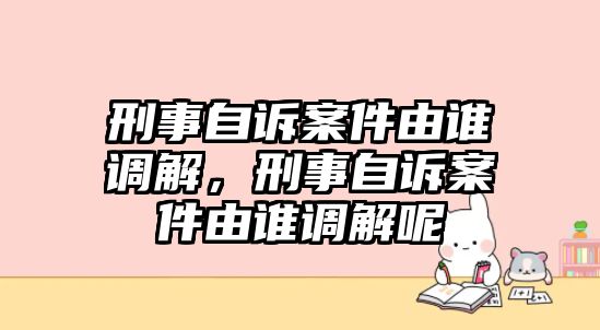 刑事自訴案件由誰調解，刑事自訴案件由誰調解呢