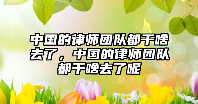 中國的律師團隊都干啥去了，中國的律師團隊都干啥去了呢