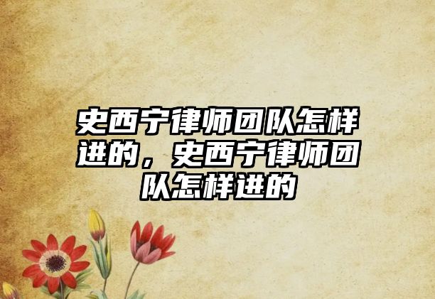 史西寧律師團隊怎樣進的，史西寧律師團隊怎樣進的