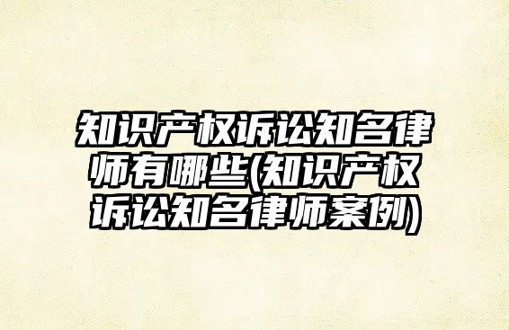 知識產權訴訟知名律師有哪些(知識產權訴訟知名律師案例)