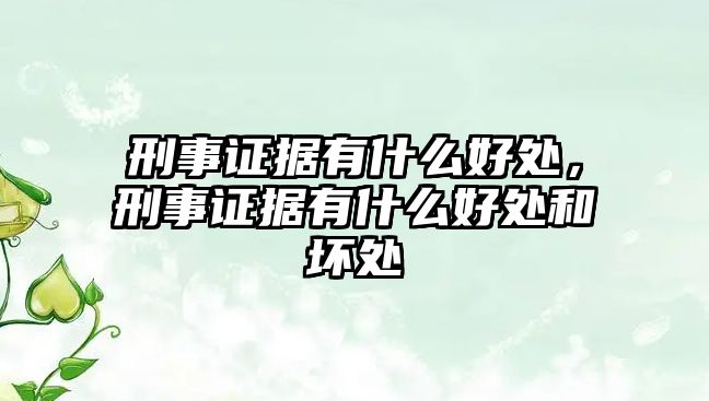 刑事證據(jù)有什么好處，刑事證據(jù)有什么好處和壞處