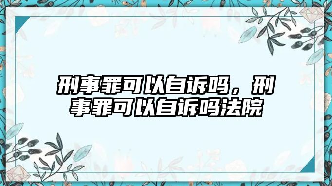 刑事罪可以自訴嗎，刑事罪可以自訴嗎法院