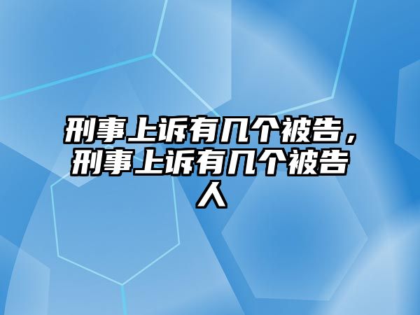 刑事上訴有幾個被告，刑事上訴有幾個被告人