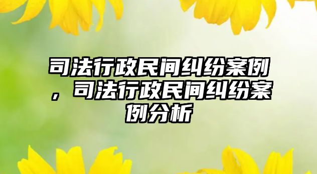 司法行政民間糾紛案例，司法行政民間糾紛案例分析