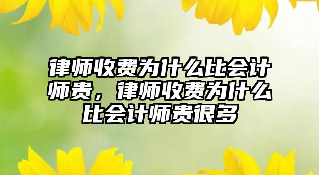 律師收費(fèi)為什么比會計師貴，律師收費(fèi)為什么比會計師貴很多