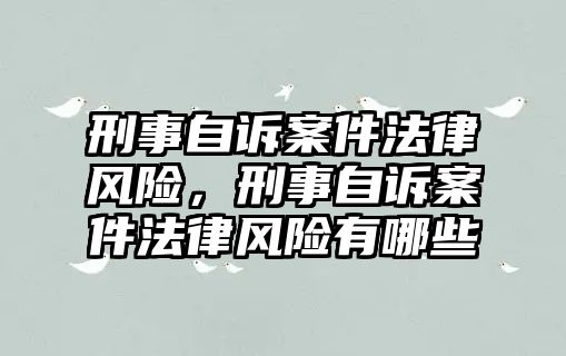 刑事自訴案件法律風(fēng)險，刑事自訴案件法律風(fēng)險有哪些