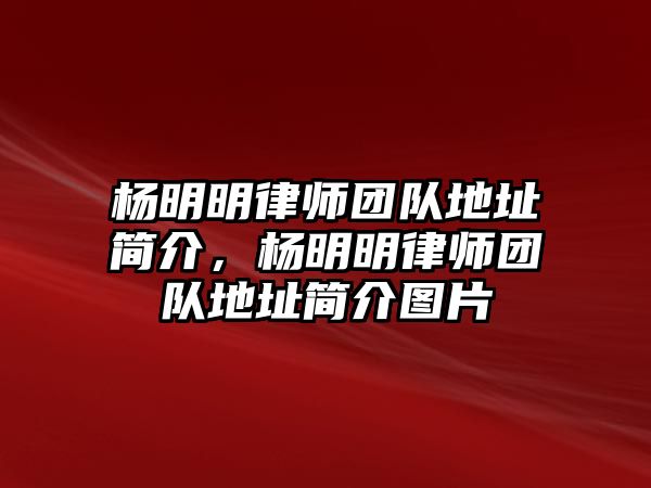 楊明明律師團(tuán)隊(duì)地址簡介，楊明明律師團(tuán)隊(duì)地址簡介圖片