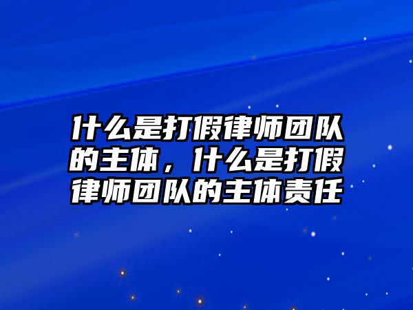 什么是打假律師團隊的主體，什么是打假律師團隊的主體責任