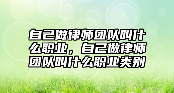 自己做律師團隊叫什么職業(yè)，自己做律師團隊叫什么職業(yè)類別