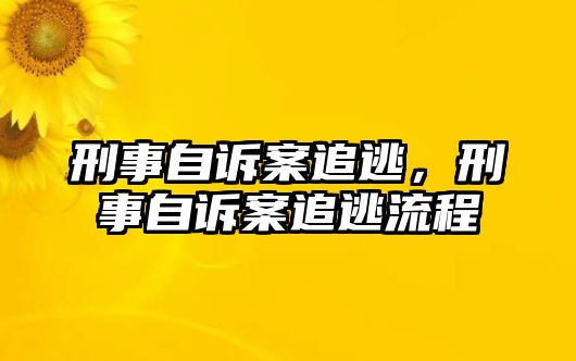 刑事自訴案追逃，刑事自訴案追逃流程