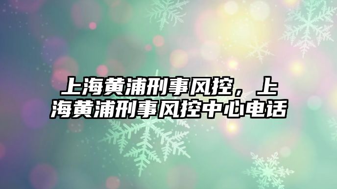 上海黃浦刑事風(fēng)控，上海黃浦刑事風(fēng)控中心電話