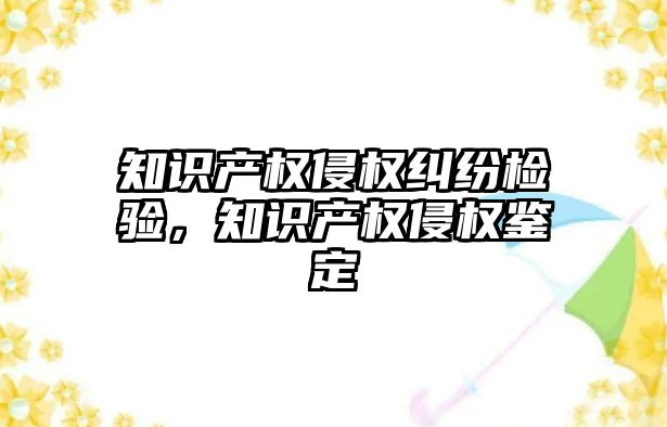 知識產權侵權糾紛檢驗，知識產權侵權鑒定