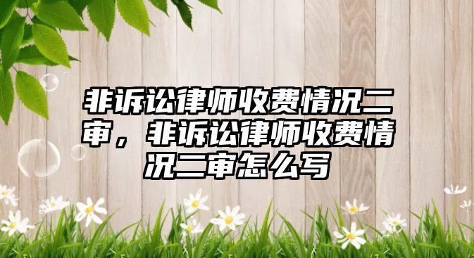 非訴訟律師收費(fèi)情況二審，非訴訟律師收費(fèi)情況二審怎么寫(xiě)