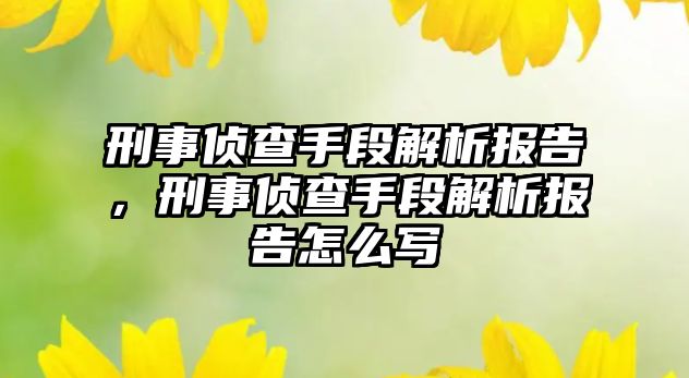 刑事偵查手段解析報告，刑事偵查手段解析報告怎么寫